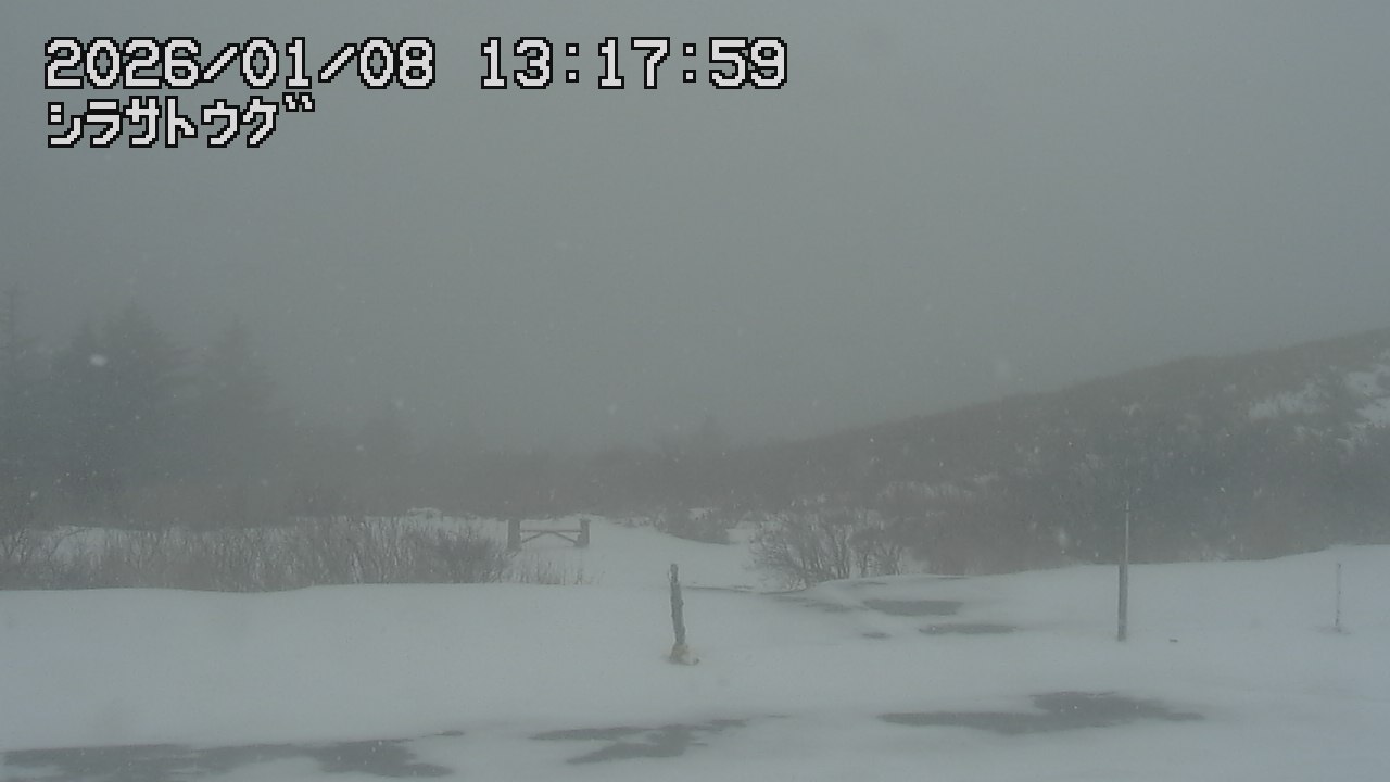 石山＠ページ セレンディバイト(宝石名セレンディバイト)ミャンマー産 0.227ct ソ付