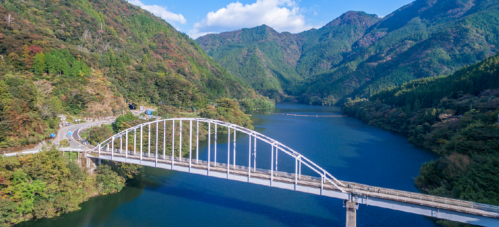 吉野川の自然を体感＆プチ森林浴コース