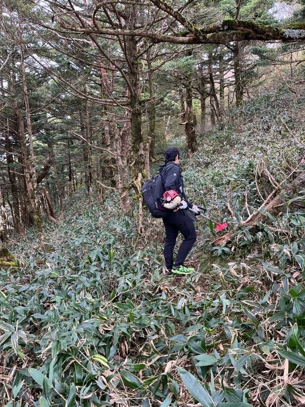 【編集部だより】登山道整備の紹介・説明