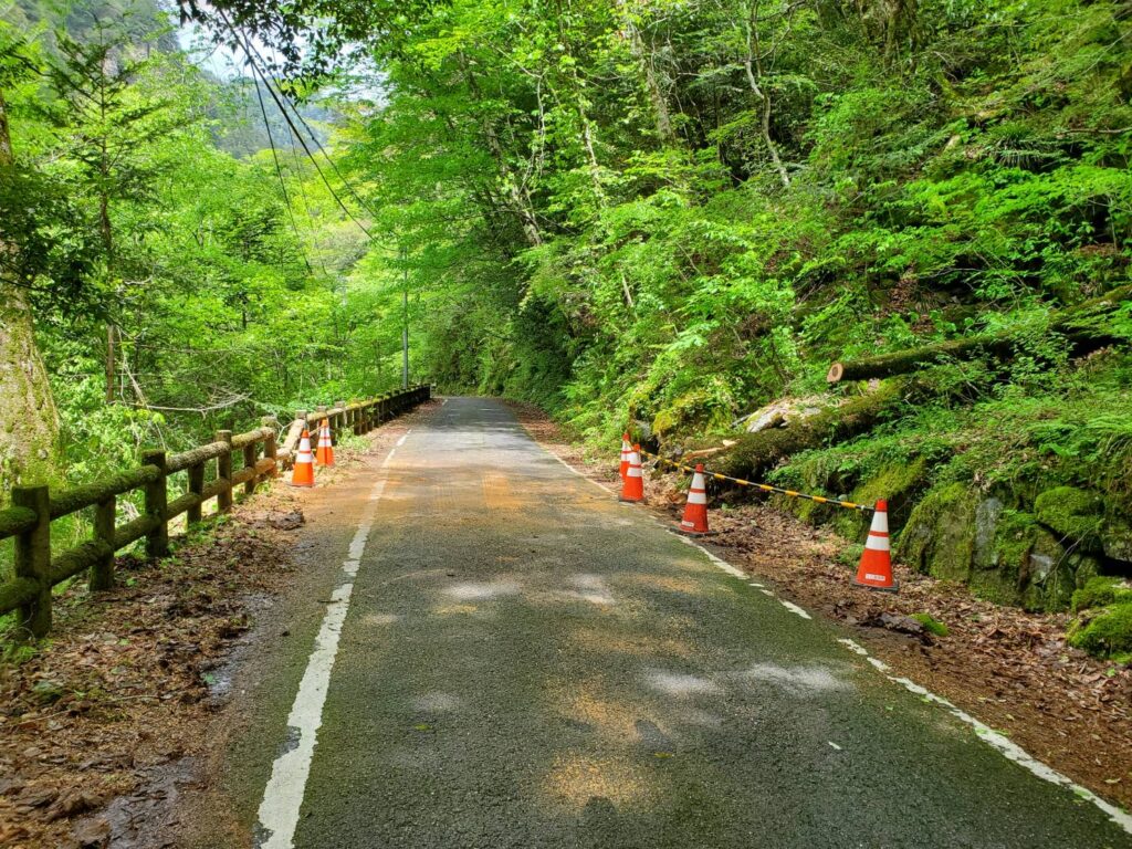 【注意】面河渓方面の倒木による通行について【5/10（土）13時時点通行止め解除】