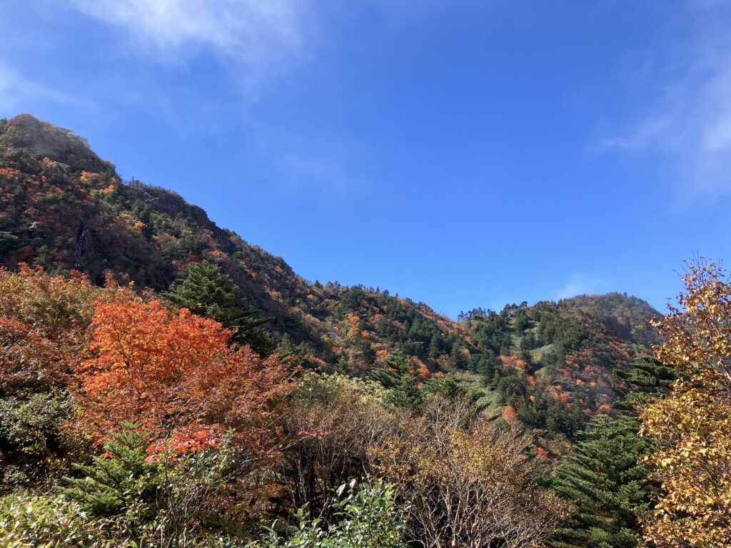 【編集部だより】石鎚山系の紅葉