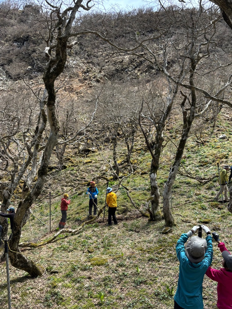 【編集部だより】石鎚山系のイベント紹介